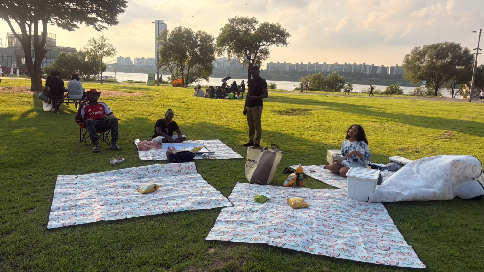 Picnic mats on the grass at Banpo Hangang Park, with the Han River and Seoul skyline behind USKA members
